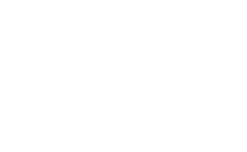 パリで開催される世界最大級のチョコレートの祭典であるサロン・デュ・ショコラ大賞受賞作や、カカオ70%の香り高いトリュフショコラなど選び抜かれた素材と卓越した技術で創り上げる、フランス発芸術的ショコラ ラフェヴァリ La fèverie ロゴ